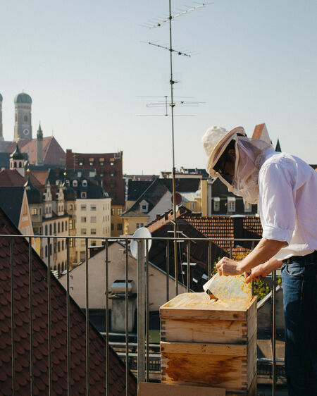Criminal councillor Jürgen Brandl handles beekeeper's clothing with beehive on the roof of the Munich police headquarters