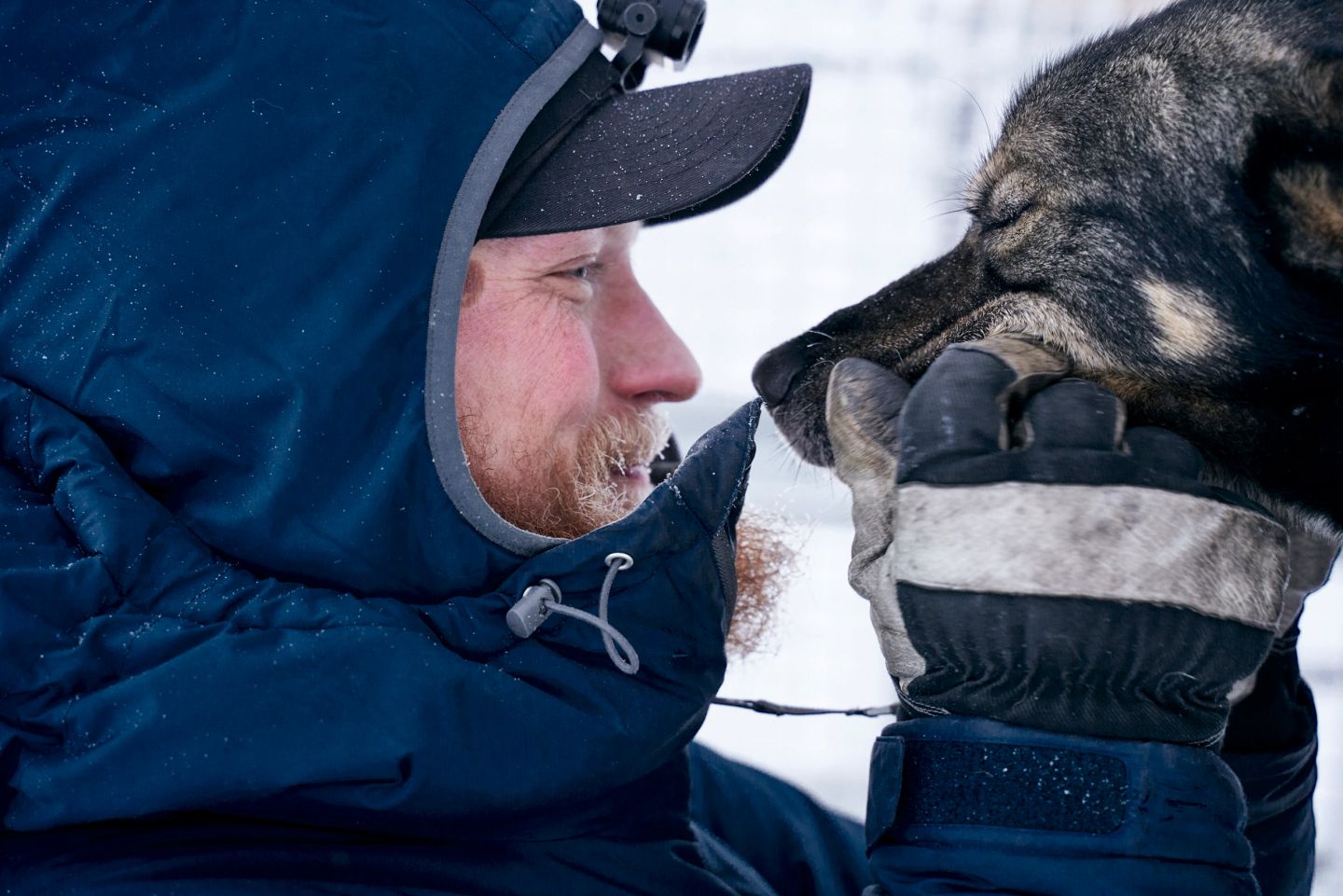 Dog sledding in Lapland: Visiting a husky farm Dog sled driver Jonas looks Husky deep into the eyes
