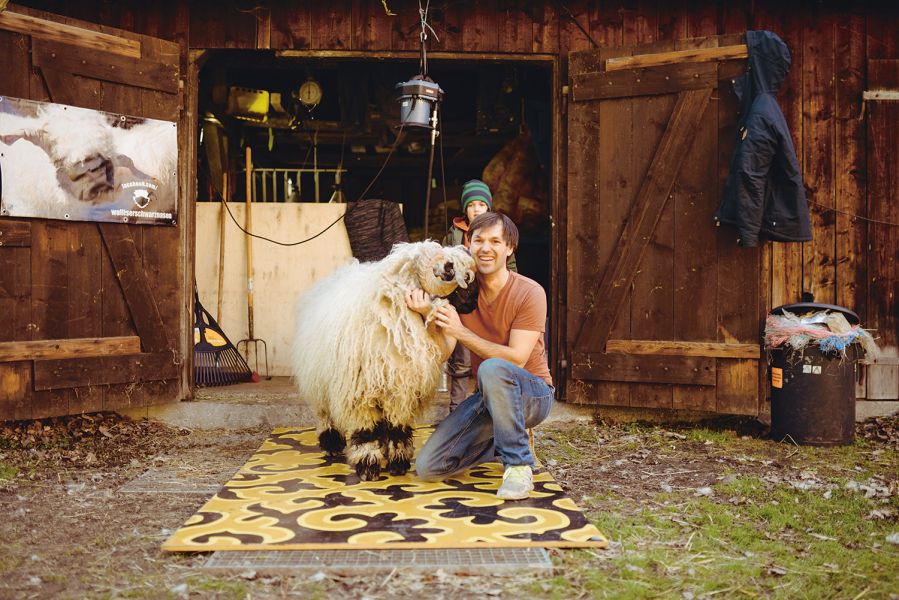 Interview Nikolas Fricke Nikolas Fricke with a Valais black-nosed sheep in front of the stable shearing