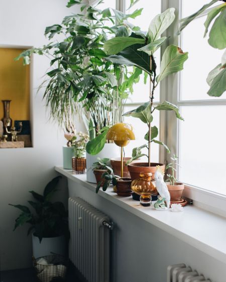 Window sill with plant pots and porcelain figures in the studio Maison Palmė in Berlin