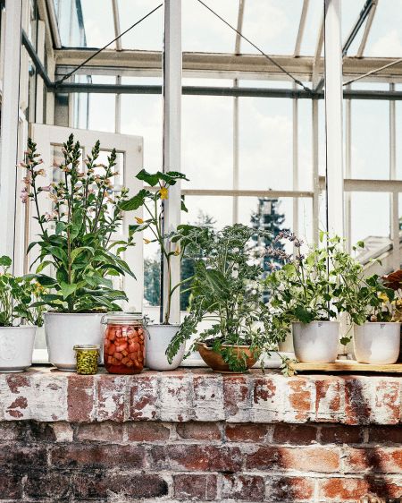 Kpm flower pots in the Royal Garden Academy Berlin