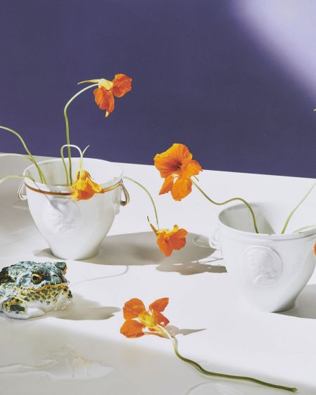 Mozart cup from KPM with Indian cress