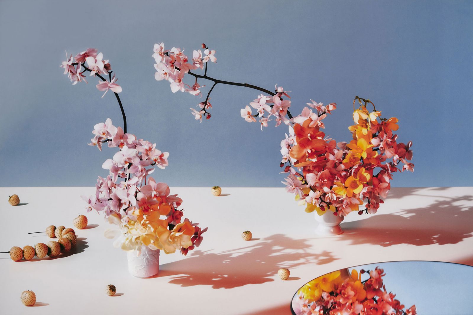 KPM Magazin 2021: Vasen Hexenbecher und Vase Becherform von KPM mit Orchideen