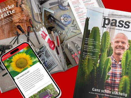 Cover of the BAUHAUS customer magazine “passt!”, open magazine page, and smartphone with online article from the website richtiggut.de on a red background